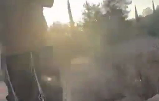 Thumbnail preview image for the video titled: "I am the army": an Israeli settler prevents farmers from accessing their lands in the town of Turmus Ayya