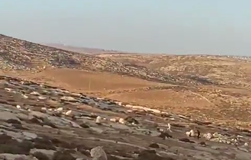 Thumbnail preview image for the video titled: A new pogrom took place in Mukhmas, where dozens of settlers attacked Palestinian properties with total impunity