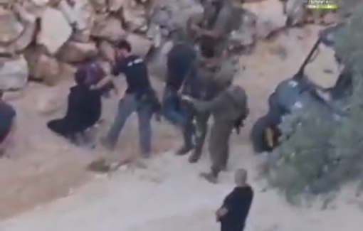 Thumbnail preview image for the video titled: Israeli settlers and soldiers arrested Palestinian farmers during the olive harvest in Qarawat Bani Hassan village