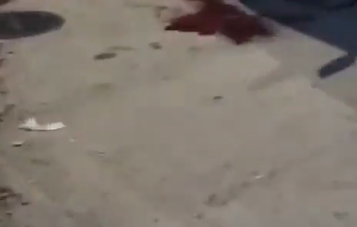 Thumbnail preview image for the video titled: The place where Jamil Hatef Hanani, 17 y/o, where shot by Israeli soldiers in Beit Furik