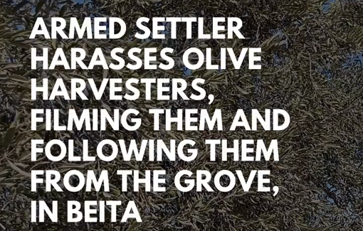 Thumbnail preview image for the video titled: In Beita, the olive harvest was peaceful and productive until they spotted settler security