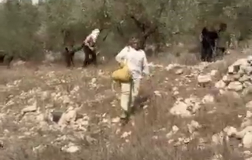 Thumbnail preview image for the video titled: In Burin settlers violently attacked Palestinian grape harvesters and activists