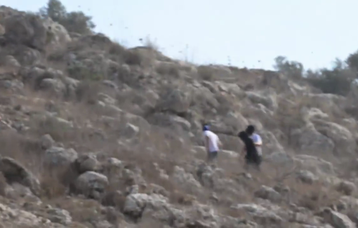 Thumbnail preview image for the video titled: Israeli settlers violently assaulted Palestinian journalists in Beita during their covering of the olive harvest