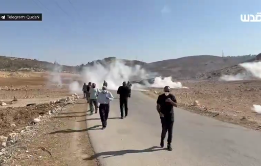 Thumbnail preview image for the video titled: Tear gas used as Palestinians try to reach their land and harvesting their olive