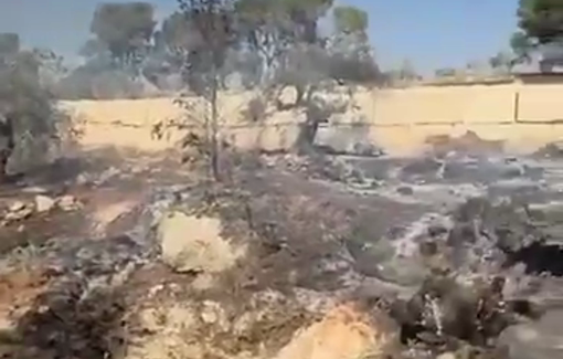 Thumbnail preview image for the video titled: Settlers storm the Al-Dhahra area and set fire to olive trees in the area