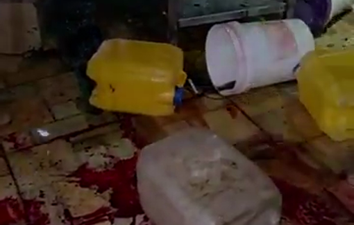 Thumbnail preview image for the video titled: From the location where Israeli forces executed two young men in Jabal Abu Dheir