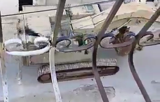 Thumbnail preview image for the video titled: Heavy Israeli engine raided the Jenin streets during the "Operation five stones"