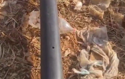Thumbnail preview image for the video titled: Settlers vandalized irrigation lines over more than 180 dunams in the Qa'un area (Bardala)