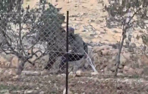 Thumbnail preview image for the video titled: Binyamin Bodenheimer, the security coordinator (Ravshatz) of the settlement of Avigayil, invaded the lands of Sheikh Sa’id in the village of Rakeez