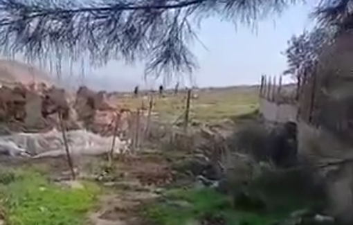 Thumbnail preview image for the video titled: Israeli settler militias attack Palestinian homes in the town of Kisan in southern Bethlehem