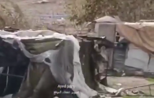 Thumbnail preview image for the video titled: Israeli settlers storm the Khillet al-Sidra community near de village of Mukhmas