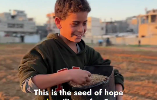 Thumbnail preview image for the video titled: Building indigenous sovereignty by establishing farmland in the Masdar area of central Gaza