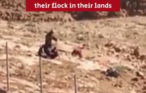 Thumbnail preview image for the video titled: Moshe Bialystok and soldiers evicted sheperds from their land in Huwara