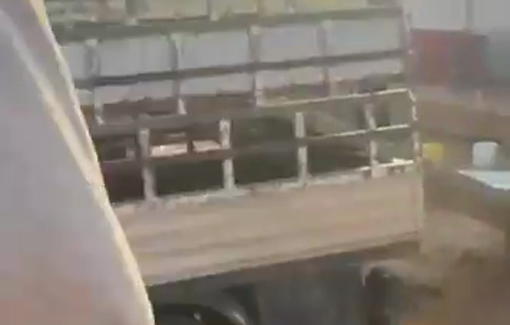 Thumbnail preview image for the video titled: Violent settlers on a routine Shabbat outing: attacking and beating activists in Ras Al-Auja