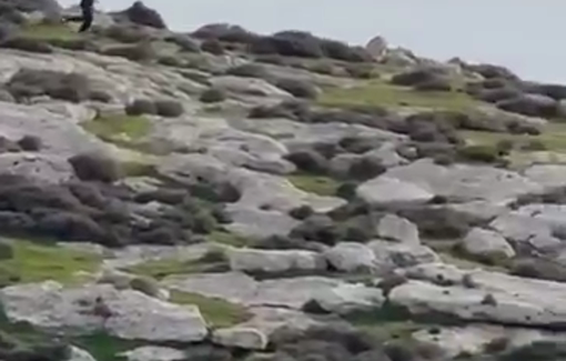 Thumbnail preview image for the video titled: Settlers storm the Khallet al-Sadra community near the town of Mukmas