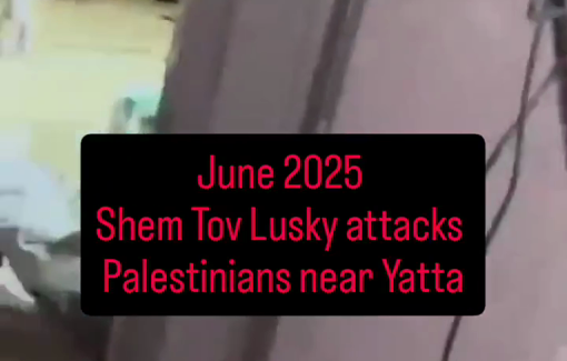 Thumbnail preview image for the video titled: The return of Shem Tov Luski to harassing the communities of Masafer Yatta