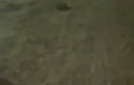 Thumbnail preview image for the video titled: Pogrom on farm in Khirbet Shkara, South Hebron Hills