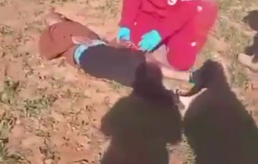 Thumbnail preview image for the video titled: Israeli settlers attacked Khirbet Rujm aI-'Ala, injuring 3 including two children