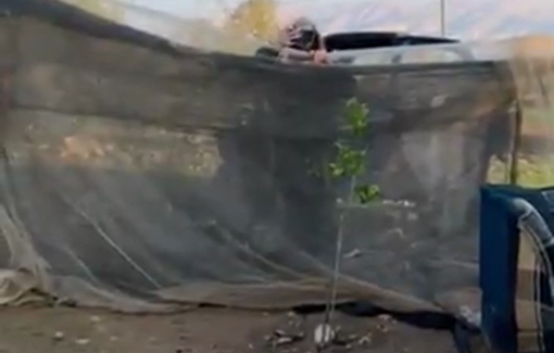 Thumbnail preview image for the video titled: A settler reservist he lets his livestock into thevyard of the last remaining family of Khirbet al-Fasayil