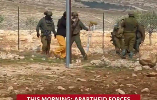 Thumbnail preview image for the video titled: Sheikh Saeed arrested by Israeli Apartheid forces following a violent settler invasion of the village of Rakiz