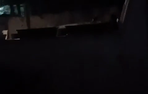 Thumbnail preview image for the video titled: Mordechai David harrasing the leftist opponent Nurit Metz in front of her home