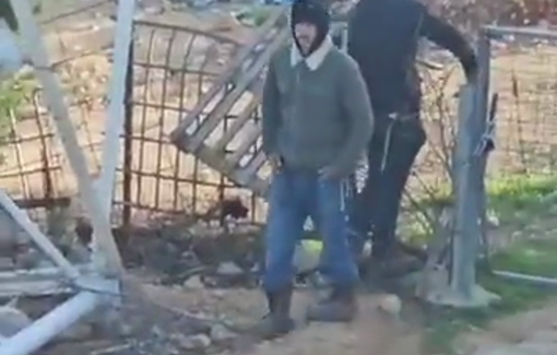 Thumbnail preview image for the video titled: Israeli settlers release their livestock near a Palestinian house on the outskirts of Qusra