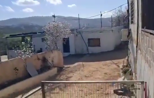 Thumbnail preview image for the video titled: Israeli settlers storm the home of the Abu Awad family in the village of Turmus Ayya