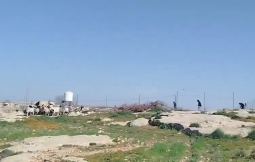 Thumbnail preview image for the video titled: In Susiya: masked individuals attacked a family in their home courtyard by throwing stones