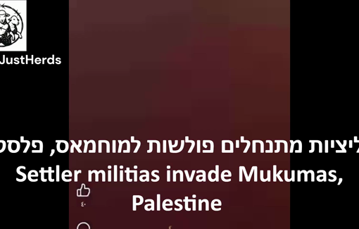 Thumbnail preview image for the video titled: Settlers opened fire in Mukhmas on the first day of Ramadan shooting 4 Palestinians and killing one 19-year-old