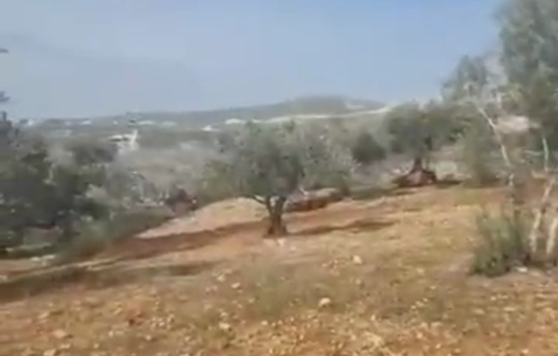 Thumbnail preview image for the video titled: Israeli settlers continue bulldozing Palestinian lands and uprooting olive trees in Al-Safra area of Jamma’in