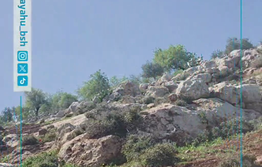 Thumbnail preview image for the video titled: Far-right activist Bnayahu Ben Shabbat harassing Adele Sokko and the protective presence in Duma