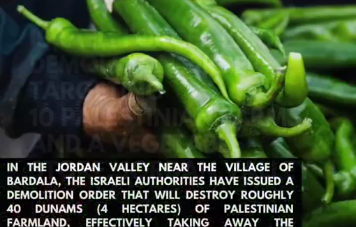 Thumbnail preview image for the video titled: Ten Palestinian farmers and a vegetable store owner have targeted with demolition notices and given one week to evacuate their land