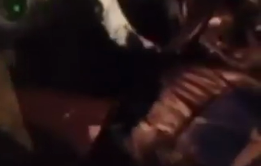 Thumbnail preview image for the video titled: Settlers attack Palestinian vehicles on the Ma‘arajat Road, north of Jericho