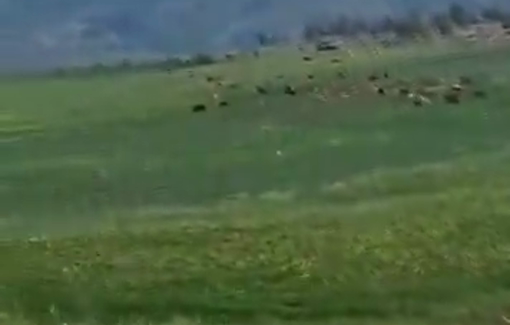 Thumbnail preview image for the video titled: New Jewish settlement outpost established in the Einun area, east of Tubas in the Area C