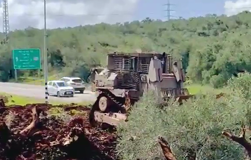 Thumbnail preview image for the video titled: For the "Land Day", Israeli army uprooted olive groves in Deir Istiya along Road 5066