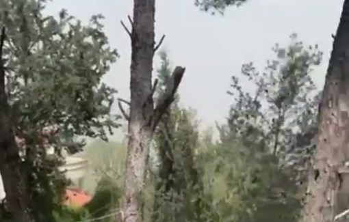 Thumbnail preview image for the video titled: Israel carrying out a heavy fire belt around neighborhoods in the city of Nabatieh, Lebanon