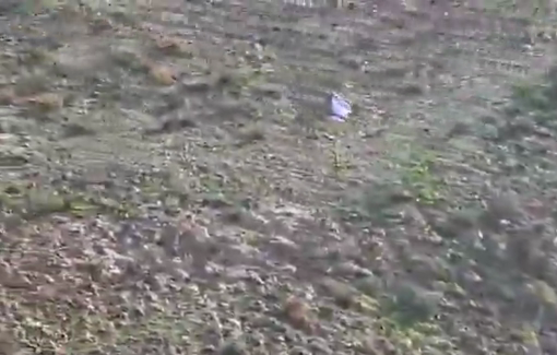 Thumbnail preview image for the video titled: Students in Umm al -Khair were blocked by settlers on their way to the first day of school after six weeks of war