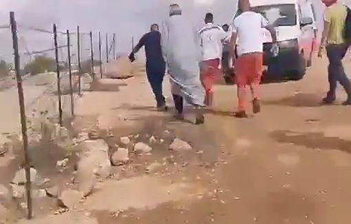 Thumbnail preview image for the video titled: A foreign activist was injured as a result of settlers’ assault on olive pickers in the village of Susia